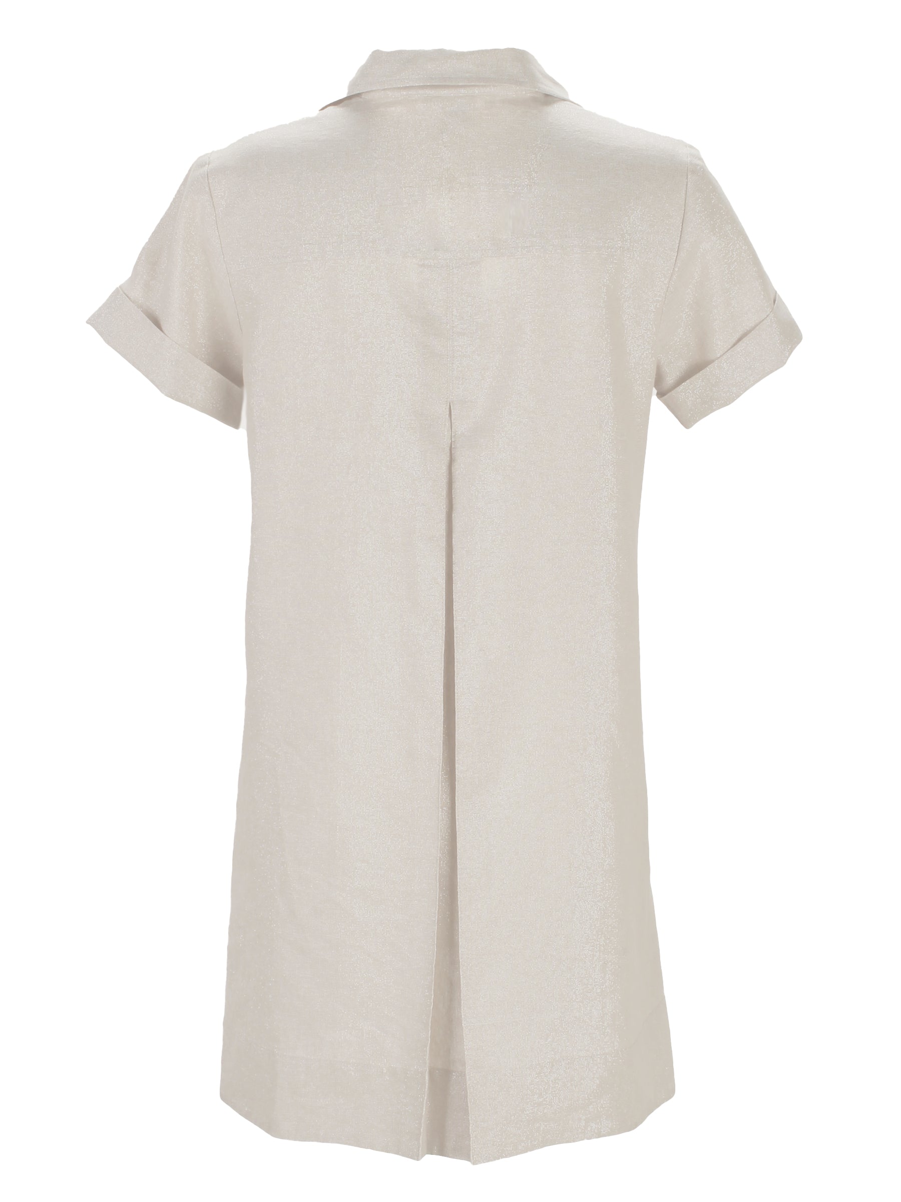 A back view of Finley Marcia dress, a natural gray washed linen short-sleeve v-neck shirt dress.